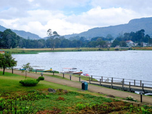 nuwara-eliya-5.720x.85