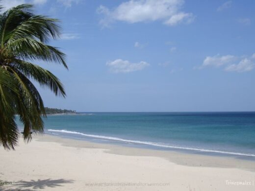 trincomalee-1-sri-lanka